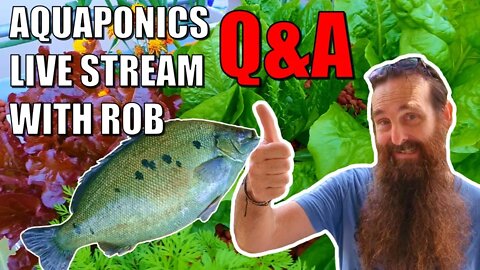 Aquaponics LIVE Q&A With Rob
