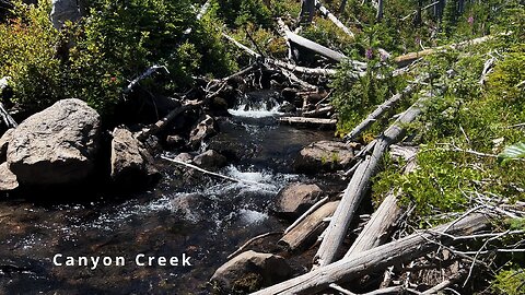 SILENT PERSPECTIVES of RUSTIC Canyon Creek! | Mount Jefferson Wilderness | TFJ Loop | 4K | Oregon