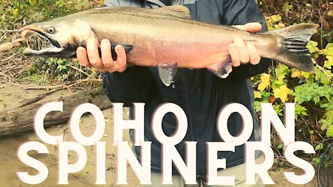 |4K| CATCHING COHO (SILVER SALMON) on SPINNERS part 2