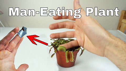 I Let a Venus Flytrap Digest My Finger For a DayLittle Shop of Horrors Challenge!