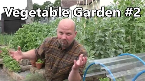 Episode 4 - Vegetable Garden #2 - Project Update
