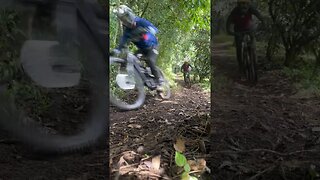 Sweet singletrack through the Guatemalan jungle. Warm up laps.