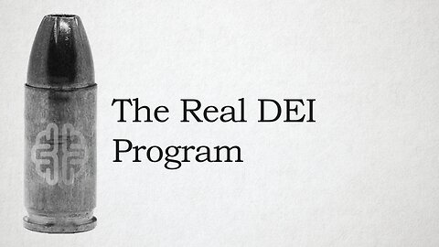 The Real DEI Program