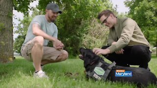 Purina Dog Chow - Service Dog Salute