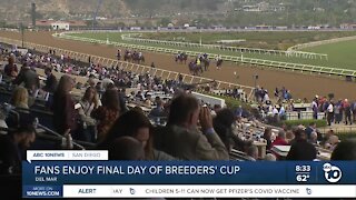 Fans enjoy final day of Breeders' Cup