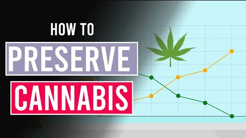 The Best Way to Preserve Cannabis!