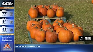 Pumpkin patch fundraiser