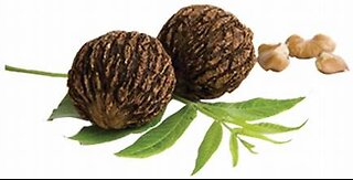 Black Walnut Powerful💪 Detox