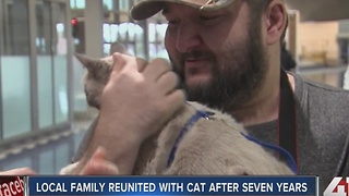 KC family reunited with cat seven years later