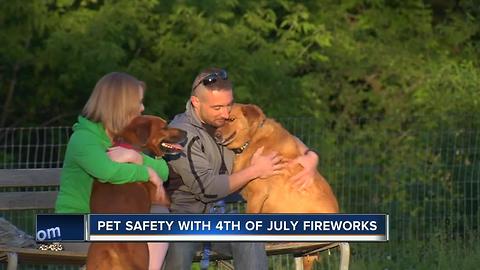 Keeping your pets safe on 4th of July