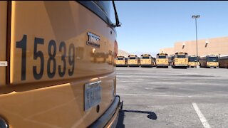 5-year-old dropped off at school bus stop