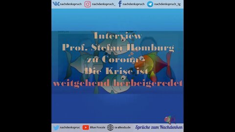 Interview Prof Stefan Homburg zu Corona - Die Krise ist weitgehend herbeigeredet - komplett