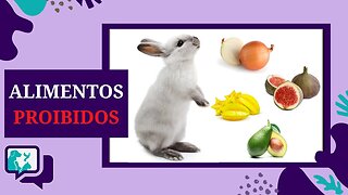 O que o COELHO NÃO PODE COMER - Alimentos que fazem mal ao COELHO