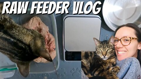 A day in the life of a raw feeder