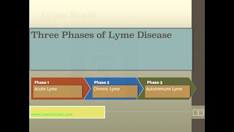 Lyme Brain Book by Dr. Kevin Conners of Conners Clinic | Chronic Lyme Disease