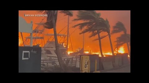 Maui fires update: Latest on Hawaii destruction, conditions