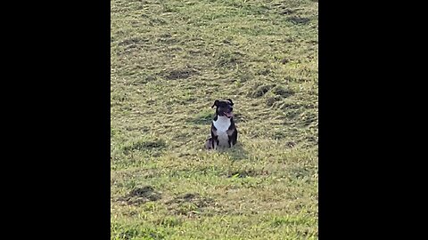 Just out taking care of the first pasture ranting