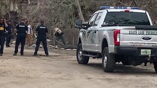 Alligator will be euthanized after attacking a man near pond in Sanibel