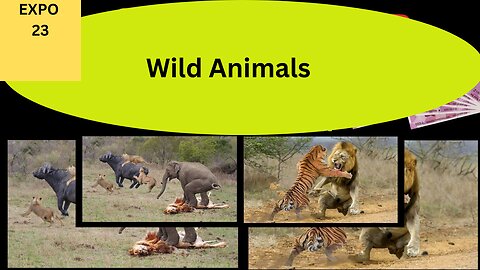 Wild animals refer to non-domesticated animals that live and thrive in their natural habitats