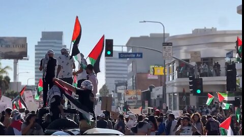 Los Angeles: Pro-Palestine protest turns violent against Israel supporters