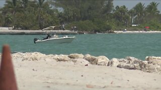 Dolphin dies after being impaled in head along Fort Myers Beach