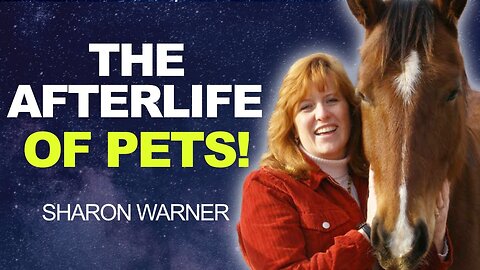 The TRUTH - You're Pets ARE Waiting for YOU IN SPIRIT! | Sharon Warner