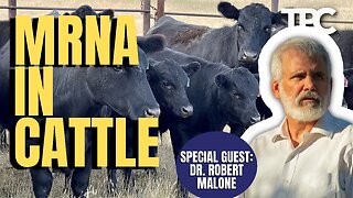 Cattle mRNA | Dr. Robert Malone (TPC #1,460)