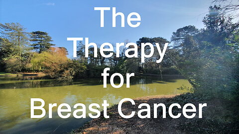 8. The Therapy for Breast Cancer