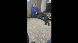Mom talking to the dog