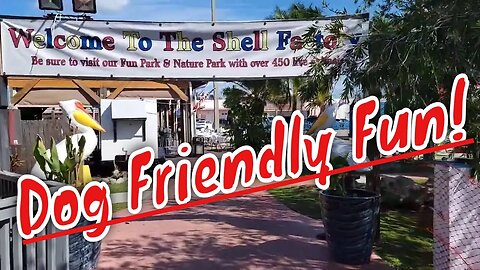 Vanlife With Dogs! Dog Friendly Activities At The Shell Factory In Fort Myers Fl