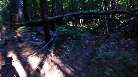 Thrilling downhill mountain bike ride ends in inevitable crash