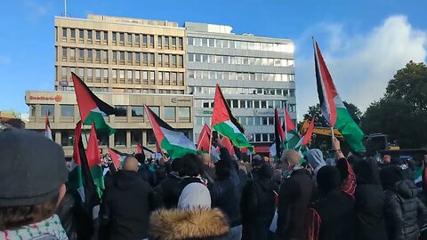 Pro-Palestina-manifestation i Malmö