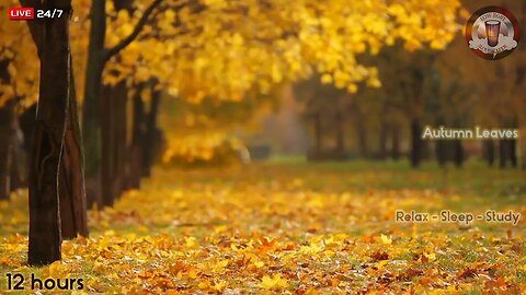 🔴🍂🍁 Relaxing Autumn Leaves: Serenity for Sleep & Study: Relax, Sleep, Study in Nature's Embrace