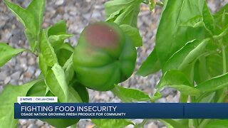 Fighting Food Insecurity