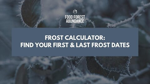 Frost Calculator: Find your first and last frost dates