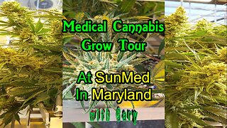 Medical Cannabis Grow Tour