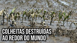 Teremos FOME mundial até 2030?