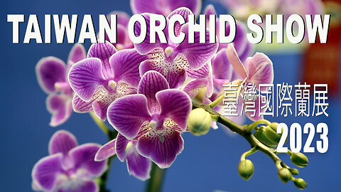 Taiwan International Orchid Show 2023 臺灣國際蘭展