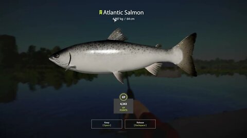 Russian Fishing 4 Volkhov River Atlantic Salmon 4.887 Kg