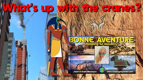 What's up with the cranes? Extra information following our Bonne Aventure Part 2