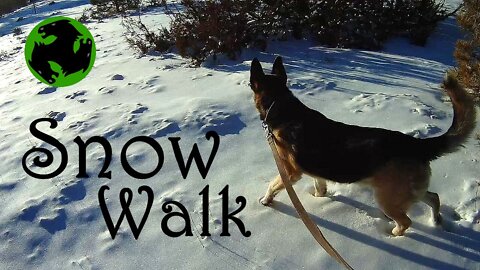 Beautiful Snow Walk With Thea