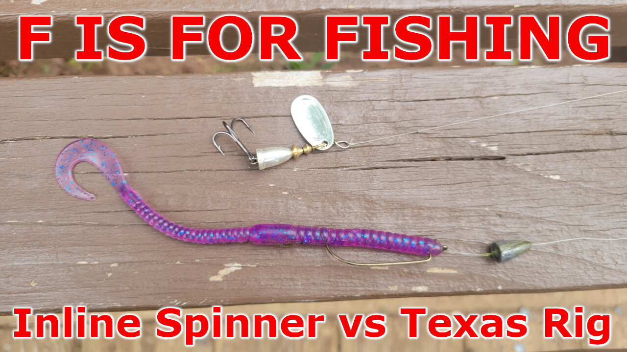 Inline Spinner vs Texas Rig
