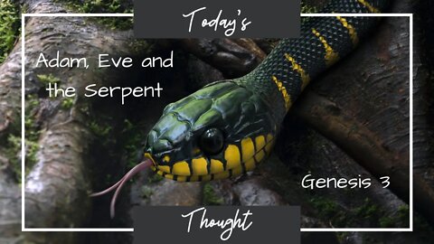 Today's Thought: Genesis 3 - Adam Eve and the Serpent