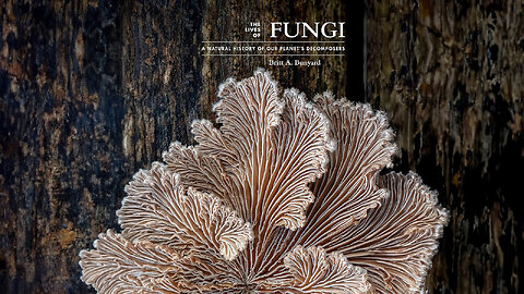 The Lives of Fungi: A Natural History of Our Planet's Decomposers