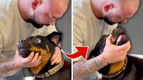 Dog Gets Scared Of Chiropractor - Funny Dog React...