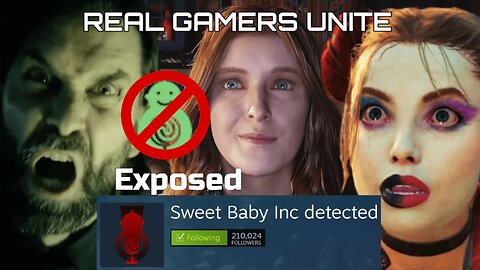 Sweet Baby Inc Expose Themselves & Real Gamers Push Back Understanding The Big Picture Now