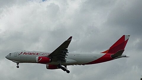 Airbus A330-243F N336QT Avianca Cargo coming from Miami to Manaus 🇺🇸🇧🇷