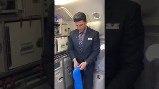 JetBlue Pilot Annoys flight Attendant #shorts