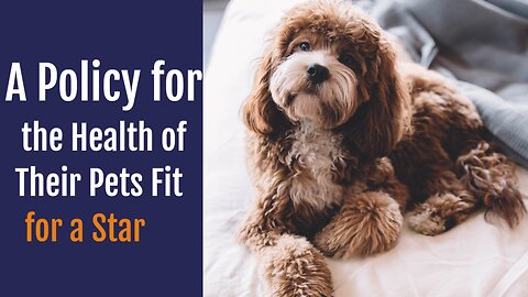 A Policy for the Health of Their Pets Fit for a Star