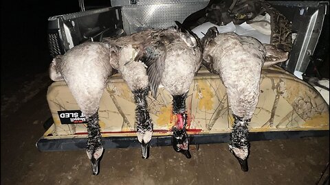 From Dawn to Dusk: A Rollercoaster Waterfowl Hunting Adventure!